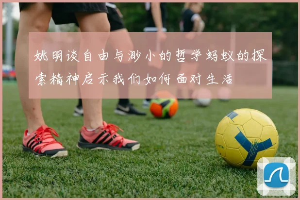 姚明谈自由与渺小的哲学蚂蚁的探索精神启示我们如何面对生活