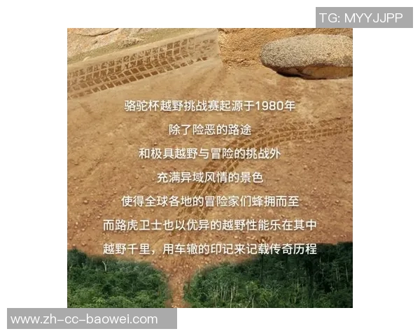 沙足传奇征战中超的荣耀与挑战之路